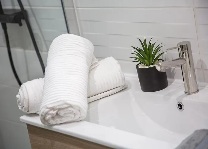 Apartman Le Coup De Coeur - A 4min Du Sanctuaire - 1min Des Commerces - 3pers Lourdes